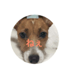 ひめたそ（個別スタンプ：6）