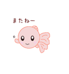 ぴんぽんぱーるのちよまるとしらたまだよ（個別スタンプ：31）