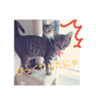 あずき＆あんこ＆おはぎ（個別スタンプ：2）