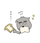 シュナウザー集合（個別スタンプ：22）