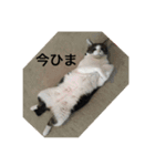 〜りり〜No.1（個別スタンプ：1）