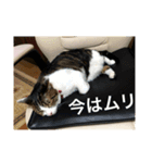 〜りり〜No.1（個別スタンプ：2）
