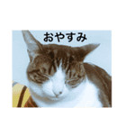 〜りり〜No.1（個別スタンプ：6）