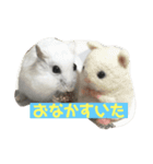 たろっぺ＆はむすけ（個別スタンプ：2）