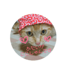 うちのここともも（個別スタンプ：7）