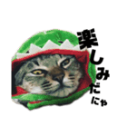 ジロ＆マロ（個別スタンプ：3）