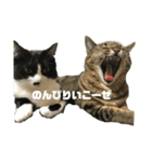 ジロ＆マロ（個別スタンプ：5）