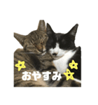 ジロ＆マロ（個別スタンプ：7）