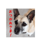 ピーすたんぷ（個別スタンプ：4）