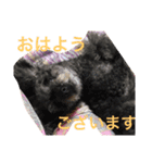 しょこぱぴ日和1（個別スタンプ：1）