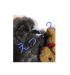 しょこぱぴ日和1（個別スタンプ：3）