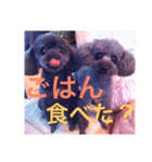 しょこぱぴ日和1（個別スタンプ：7）