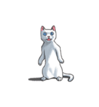 「瞬く」の白猫は見た（個別スタンプ：1）