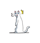 「瞬く」の白猫は見た（個別スタンプ：4）