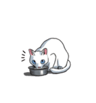 「瞬く」の白猫は見た（個別スタンプ：15）