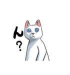 「瞬く」の白猫は見た（個別スタンプ：20）