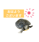 敬語のカミーさん。（個別スタンプ：2）