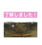 敬語のカミーさん。（個別スタンプ：5）