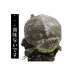 敬語のカミーさん。（個別スタンプ：8）
