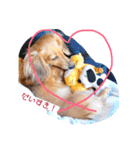 愛犬さくらさん（個別スタンプ：2）