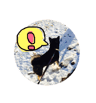 黒柴 らん（個別スタンプ：5）