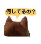 豆柴犬の日常会話（個別スタンプ：6）