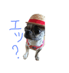 番犬プリンのスタンプだよ（個別スタンプ：4）