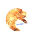猫すたんぷ1（個別スタンプ：2）