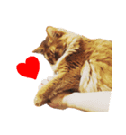 猫すたんぷ3（個別スタンプ：5）