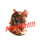 猫すたんぷ3（個別スタンプ：7）