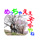 Kecchun わ〜るど（個別スタンプ：14）