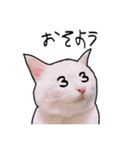 ハク時々お友達（個別スタンプ：1）