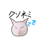 ハク時々お友達（個別スタンプ：2）