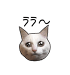ハク時々お友達（個別スタンプ：6）