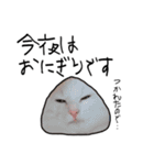 ハク時々お友達（個別スタンプ：10）
