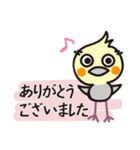 オカメインコ・チャッピーの日常編1（個別スタンプ：2）