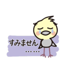 オカメインコ・チャッピーの日常編1（個別スタンプ：4）