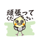 オカメインコ・チャッピーの日常編1（個別スタンプ：17）