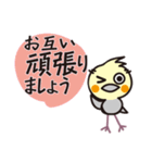 オカメインコ・チャッピーの日常編1（個別スタンプ：18）