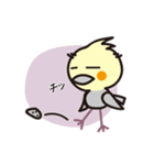 オカメインコ・チャッピーの日常編1（個別スタンプ：20）