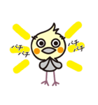 オカメインコ・チャッピーの日常編1（個別スタンプ：21）