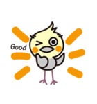 オカメインコ・チャッピーの日常編1（個別スタンプ：24）