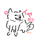 はかせスピッツ可愛い（個別スタンプ：4）