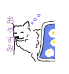 はかせスピッツ可愛い（個別スタンプ：5）