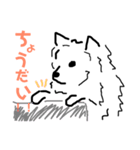 はかせスピッツ可愛い（個別スタンプ：6）