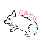 はかせスピッツ可愛い（個別スタンプ：9）