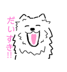 はかせスピッツ可愛い（個別スタンプ：10）