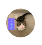 ジュンタの日常（個別スタンプ：3）