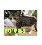 ジュンタの日常（個別スタンプ：4）