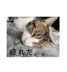 ジュンタの日常（個別スタンプ：5）